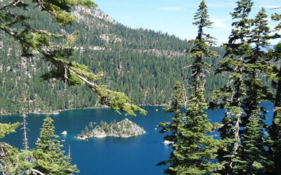 California Just Made ABA Coverage Easier