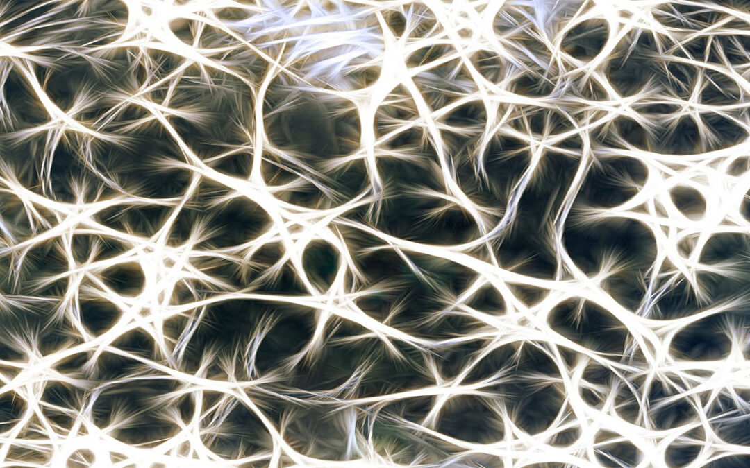 What is Relational Frame Theory and Why It Matters in ABA