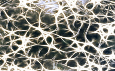 What is Relational Frame Theory and Why It Matters in ABA